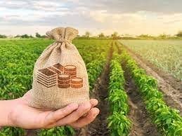 Agricultural Loans Empowering Growth and Harvest